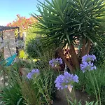 Au pied du Baou avec jardin privé