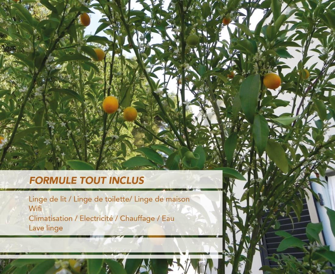 Au Pied Du Baou Avec Jardin Privé * Toulon