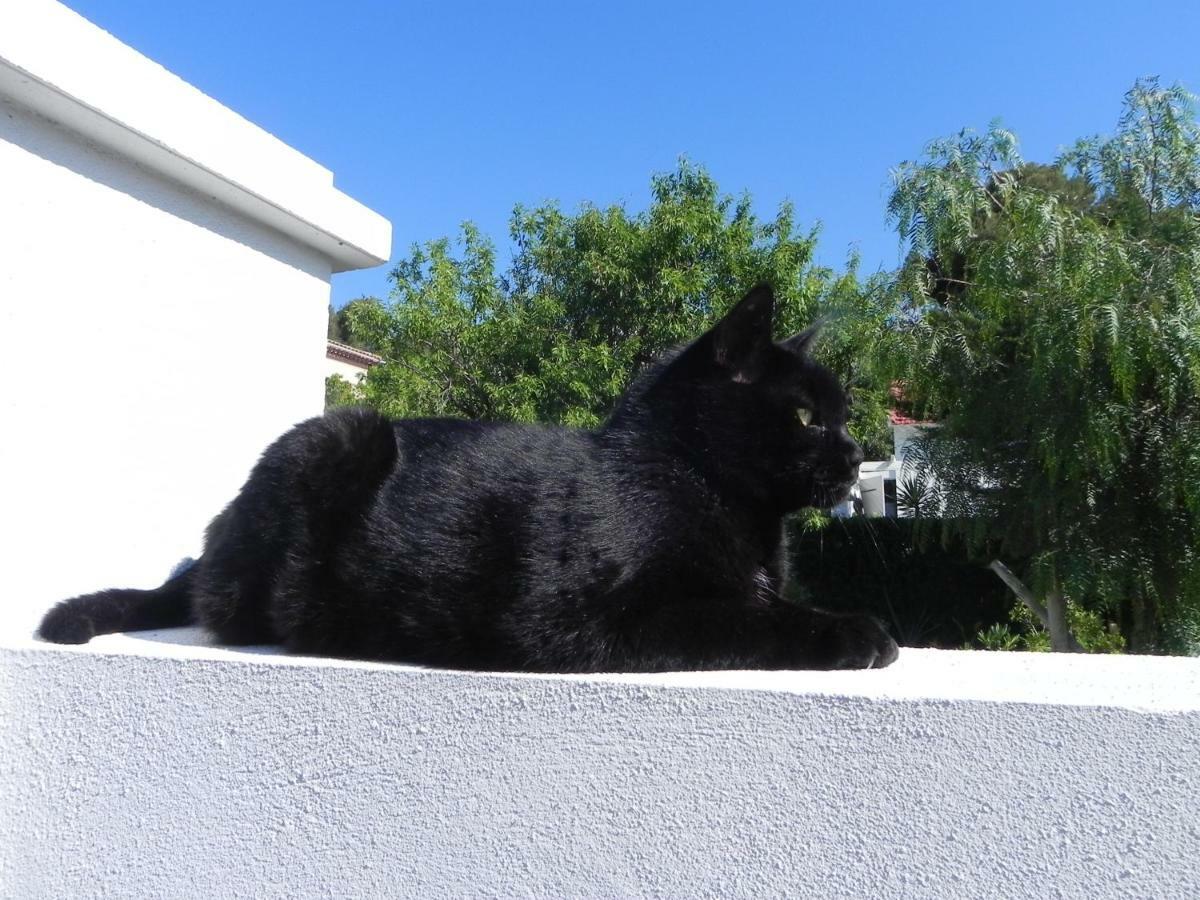 Au Pied Du Baou Avec Jardin Privé Toulon
